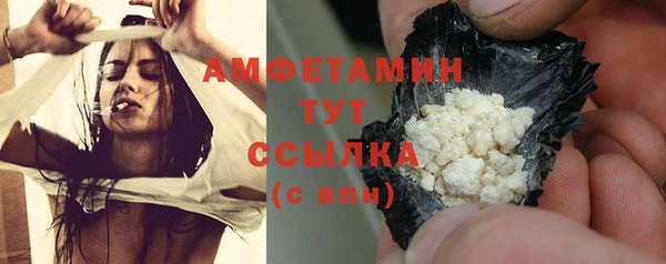индика Волоколамск