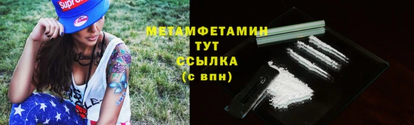 индика Волоколамск