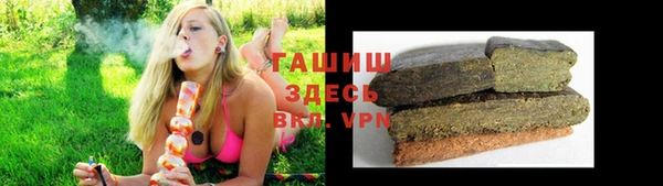 индика Волоколамск