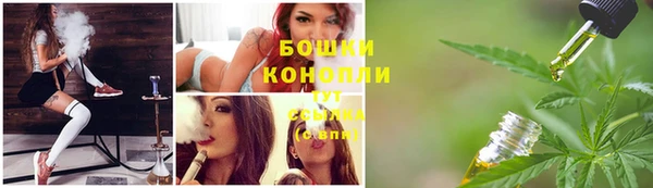 тгк Вяземский