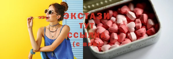 индика Волоколамск