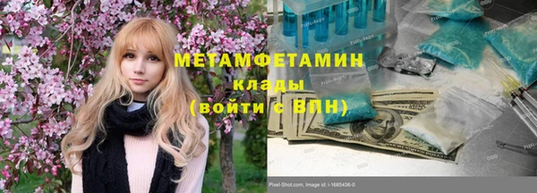 индика Волоколамск