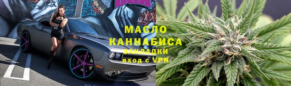 индика Волоколамск